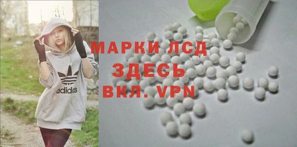 ешки Бородино