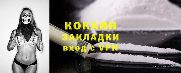 ешки Бородино