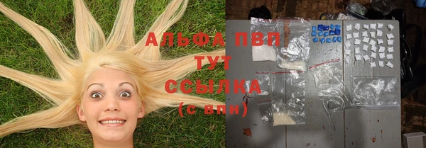 ешки Верея