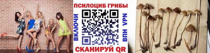 Псилоцибиновые грибы мухоморы  Дигора 