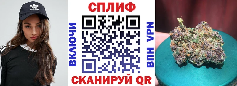 Канабис MAZAR  Дигора 